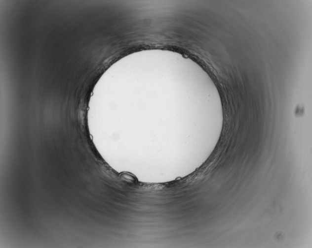 X0000103500576200810031631