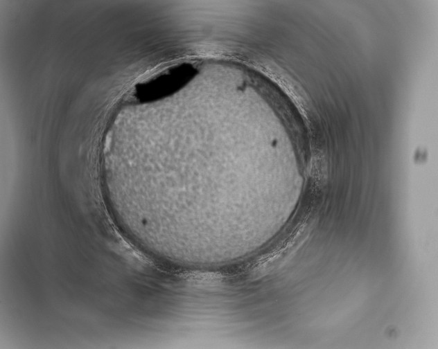 X0000103500577200810031630