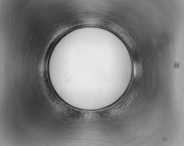 X0000103500579200810031630