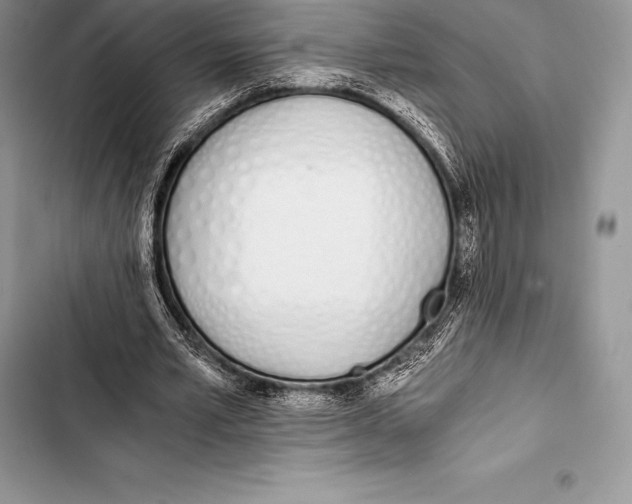 X0000103500581200810031630