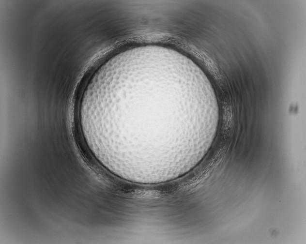 X0000103500582200810031630