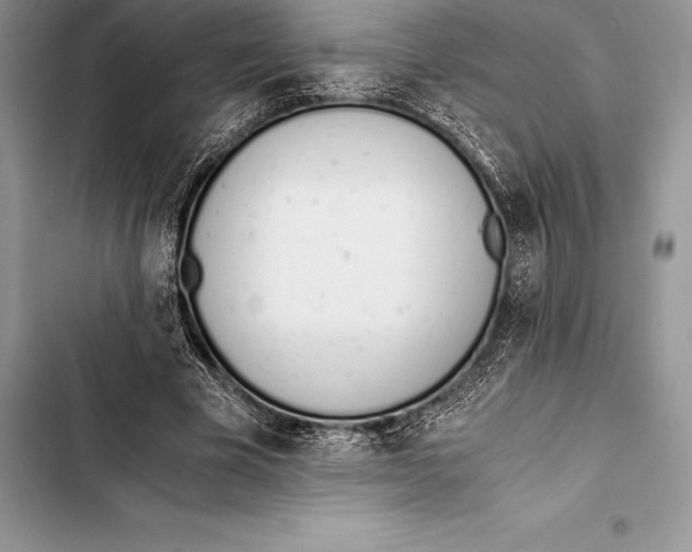 X0000103500585200810031630