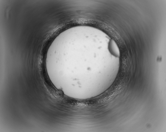 X0000103500592200810031630