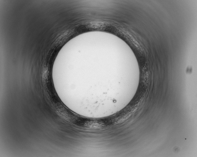 X0000103500597200810031630