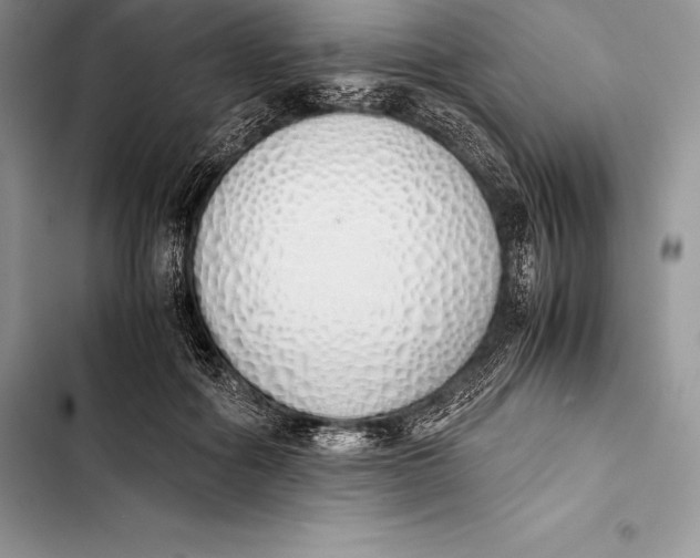 X0000103500602200810031630