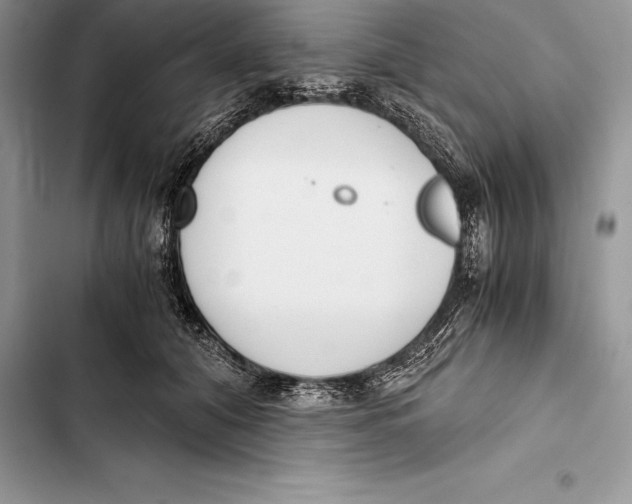 X0000103500608200810031629