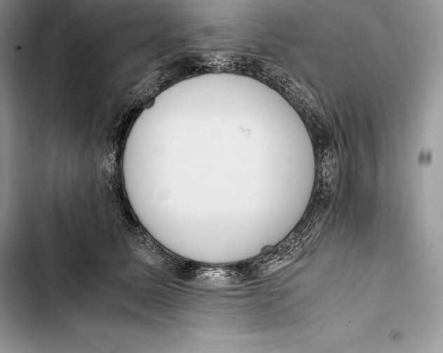 X0000103500611200810031629