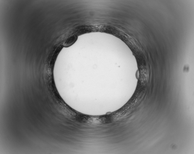 X0000103500613200810031629