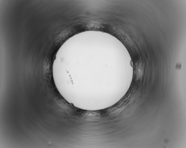 X0000103500619200810031629