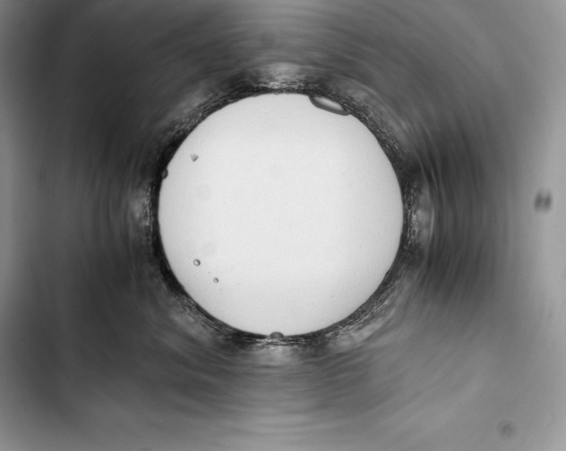 X0000103500620200810031629