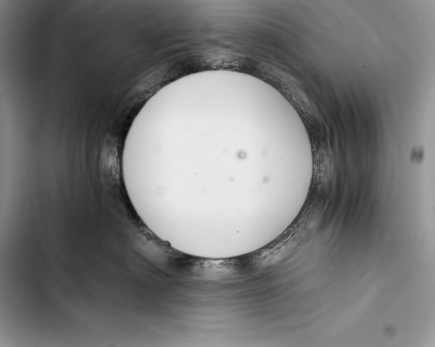 X0000103500622200810031629