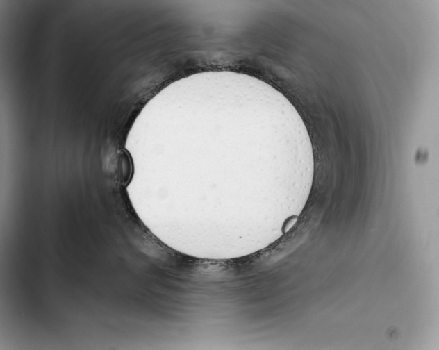 X0000103500624200810031629