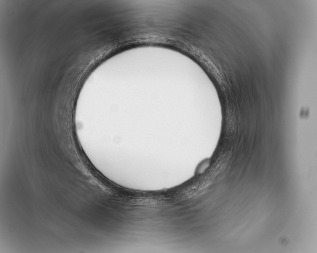 X0000103500625200810031629