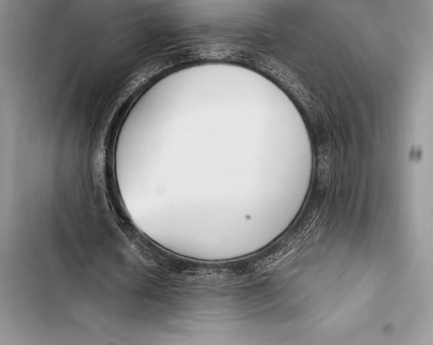 X0000103500626200810031629