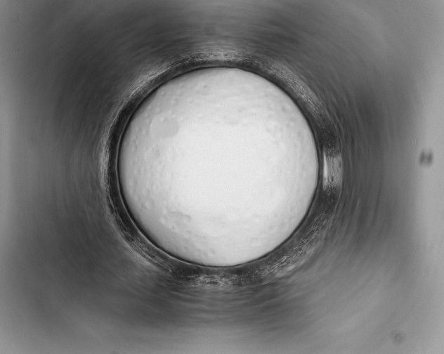 X0000103500627200810031629