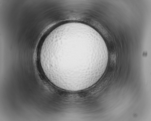 X0000103500628200810031629