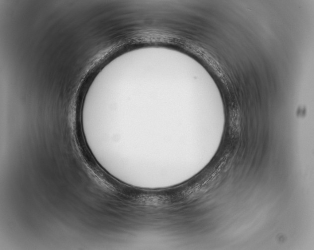 X0000103500629200810031629