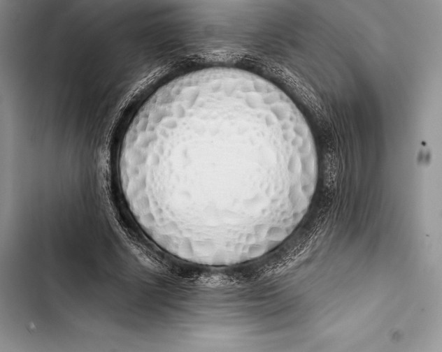 X0000103500634200810031629