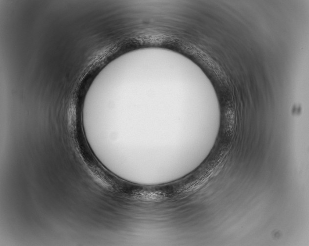 X0000103500638200810031629