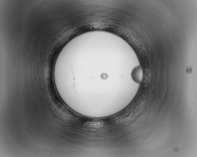 X0000103500639200810031629