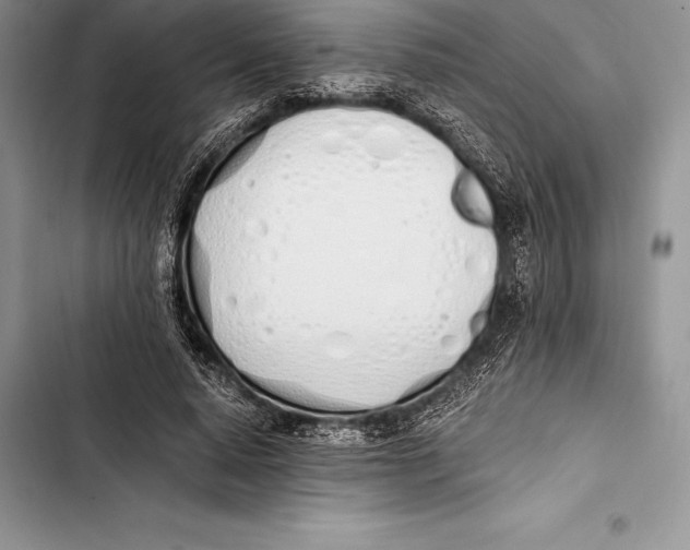 X0000103500640200810031629