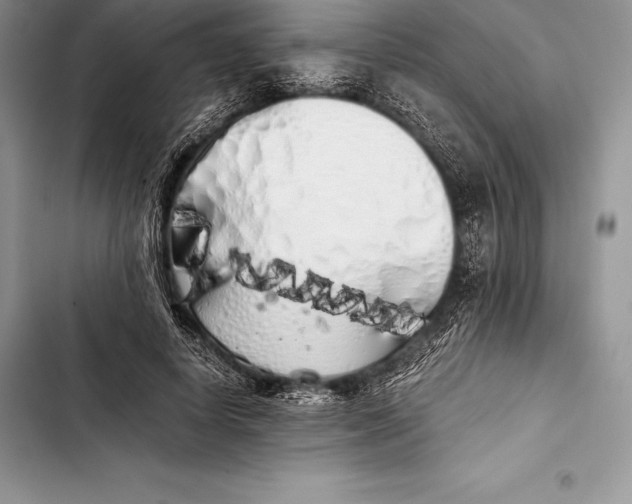 X0000103500642200810031629