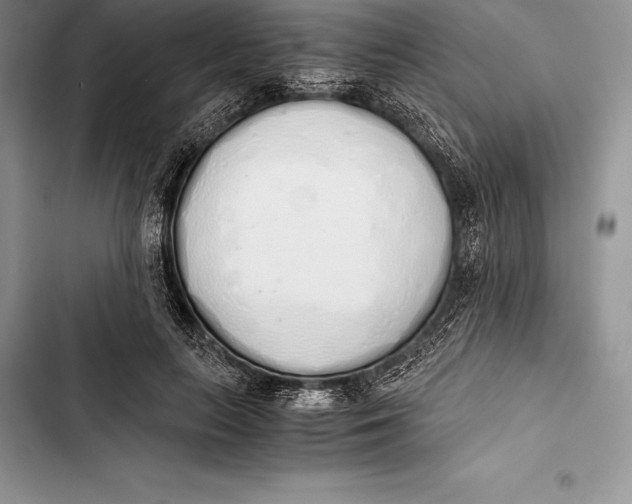 X0000103500647200810031629