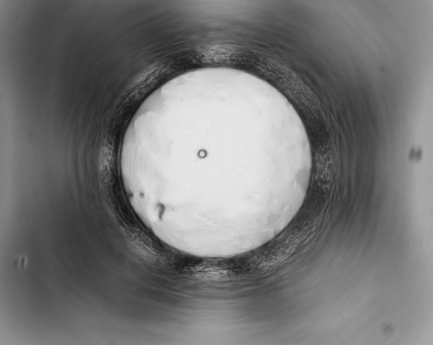 X0000103500648200810031629