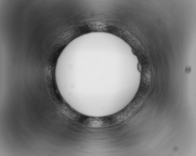 X0000103500658200810031629