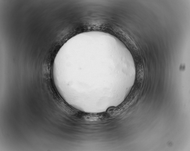 X0000103500661200810031629