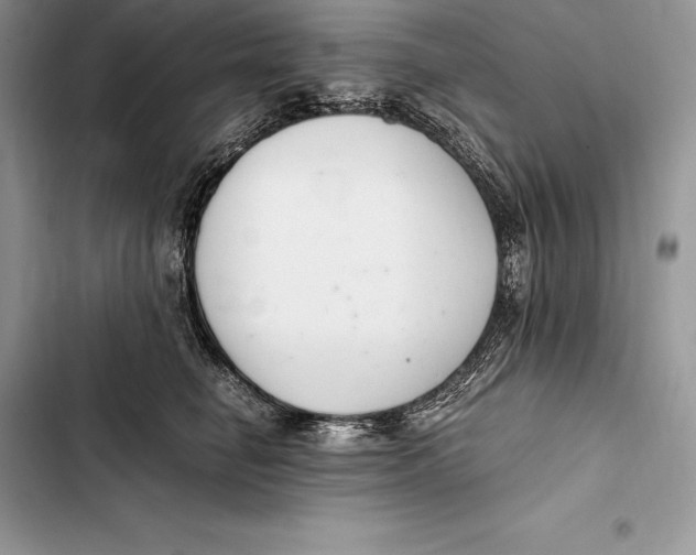 X0000103500662200810031629