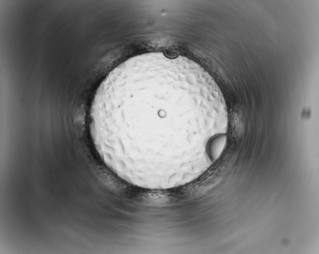 X0000103500668200810031629