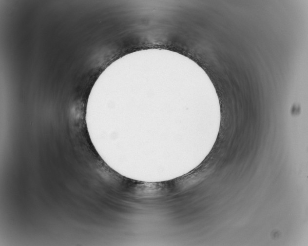 X0000103500672200810031629