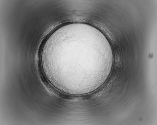 X0000103500674200810031629