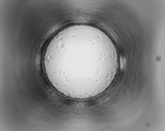 X0000103500675200810031629