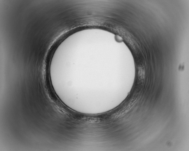 X0000103500676200810031629