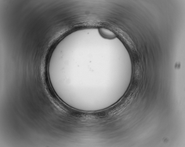 X0000103500677200810031629