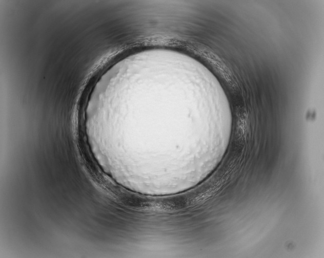 X0000103500678200810031629