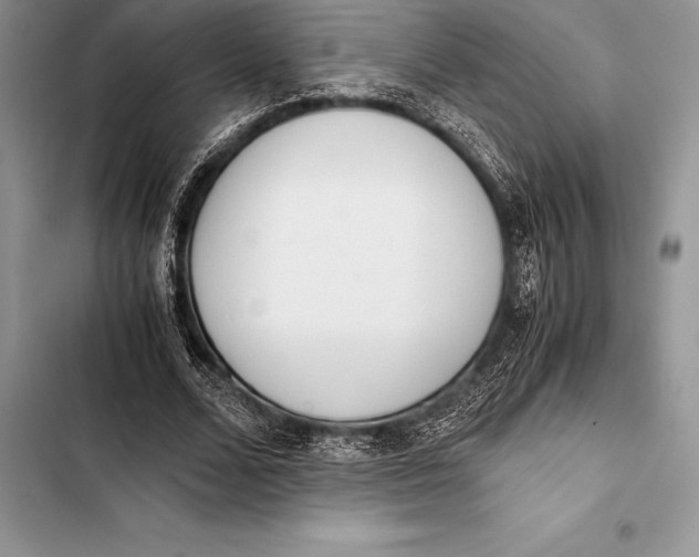 X0000103500680200810031629