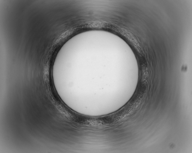 X0000103500681200810031628