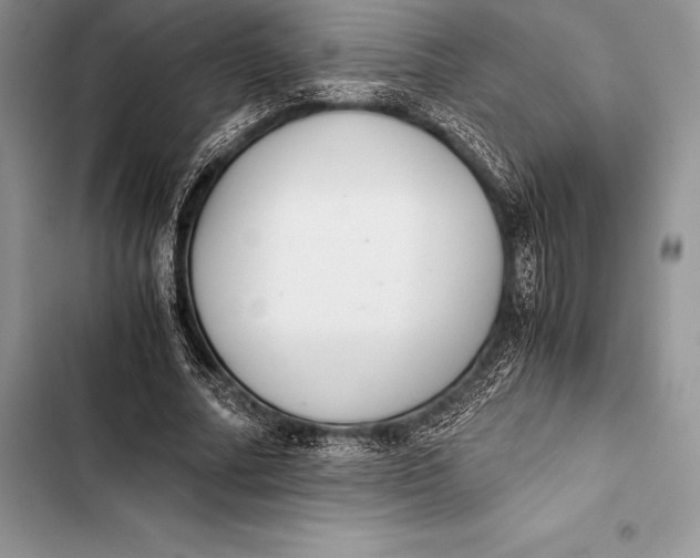 X0000103500682200810031628