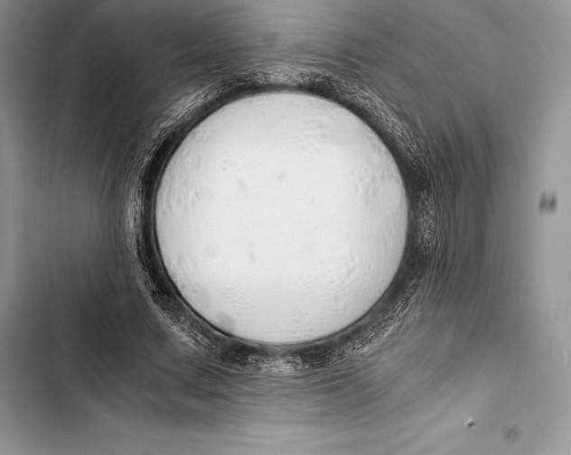 X0000103500683200810031628