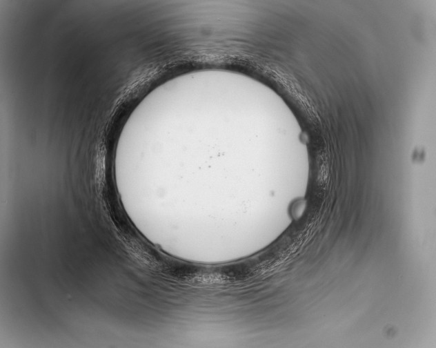 X0000103500685200810031628