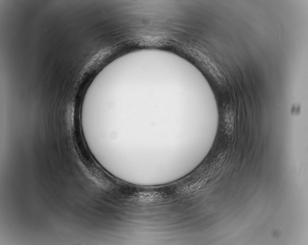 X0000103500686200810031628