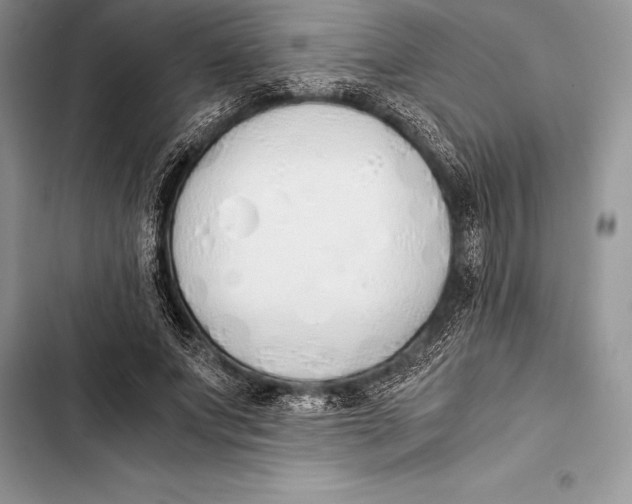 X0000103500687200810031628