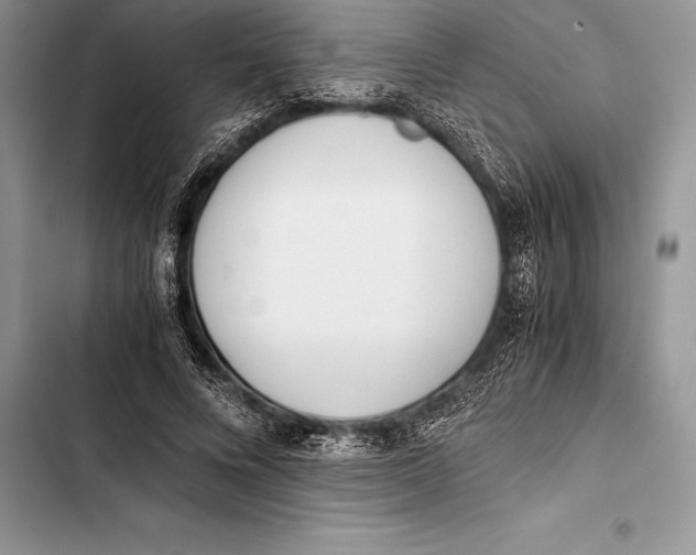 X0000103500688200810031628