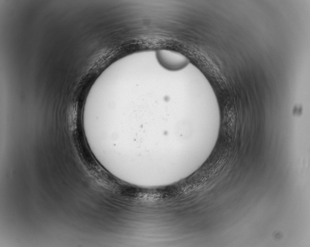 X0000103500694200810031628