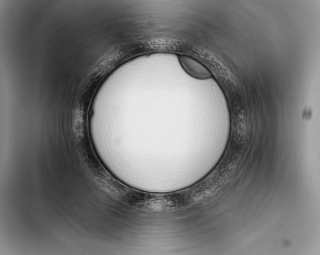 X0000103500696200810031628