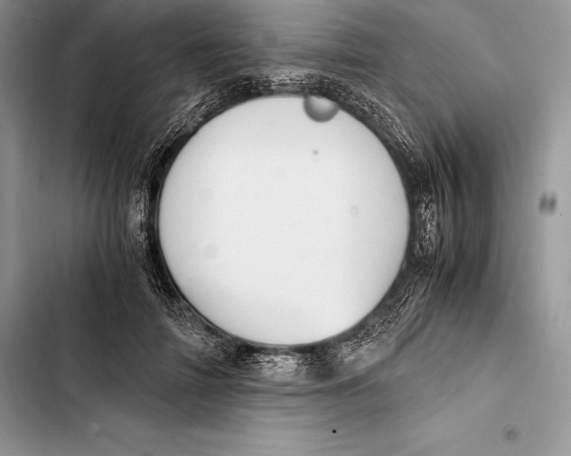 X0000103500698200810031628