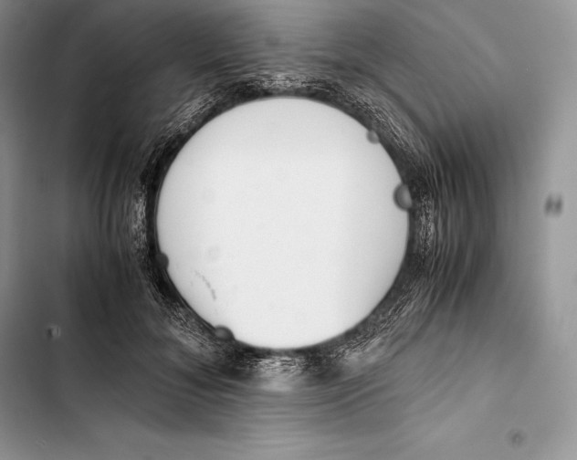 X0000103500700200810031628